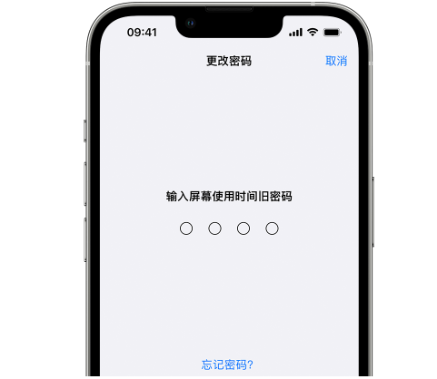 项城iPhone屏幕维修分享iPhone屏幕使用时间密码忘记了怎么办 