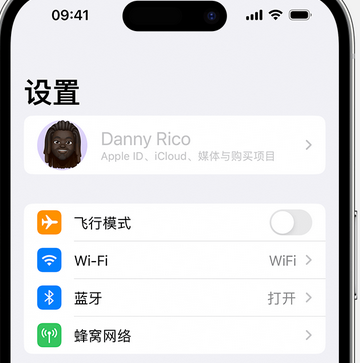 项城appleID维修服务iPhone设置中Apple ID显示为灰色无法使用 