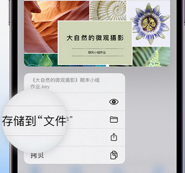 项城apple维修中心分享iPhone文件应用中存储和找到下载文件