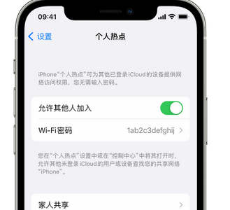 项城apple服务站点分享iPhone上个人热点丢失了怎么办 