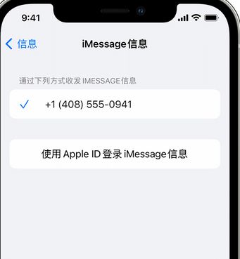 项城apple维修iPhone上无法正常发送iMessage信息 