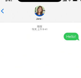 项城apple维修iPhone上无法正常发送iMessage信息