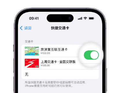 项城apple维修点分享iPhone上更换Apple Pay快捷交通卡手绘卡面 