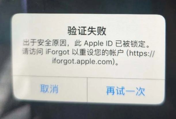 项城iPhone维修分享iPhone上正常登录或使用AppleID怎么办 