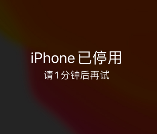 项城苹果手机维修分享:iPhone 显示“不可用”或“已停用”怎么办？还能保留数据吗？ 