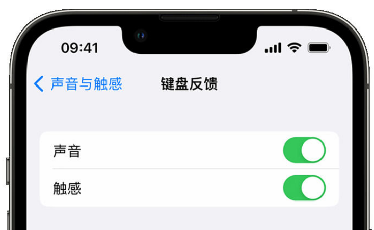 项城苹果手机维修分享iPhone 14触感键盘使用方法 