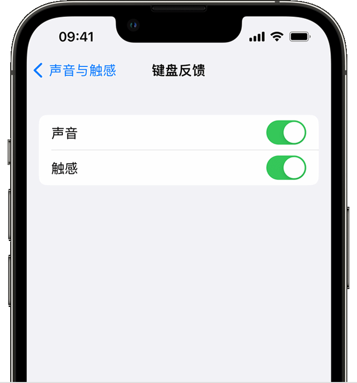 项城苹果14维修店分享如何在 iPhone 14 机型中使用触感键盘 