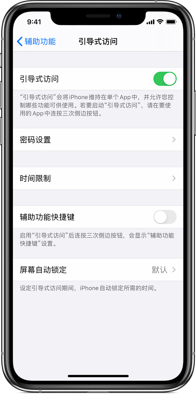 项城苹果手机维修分享如何在 iPhone 上退出引导式访问 