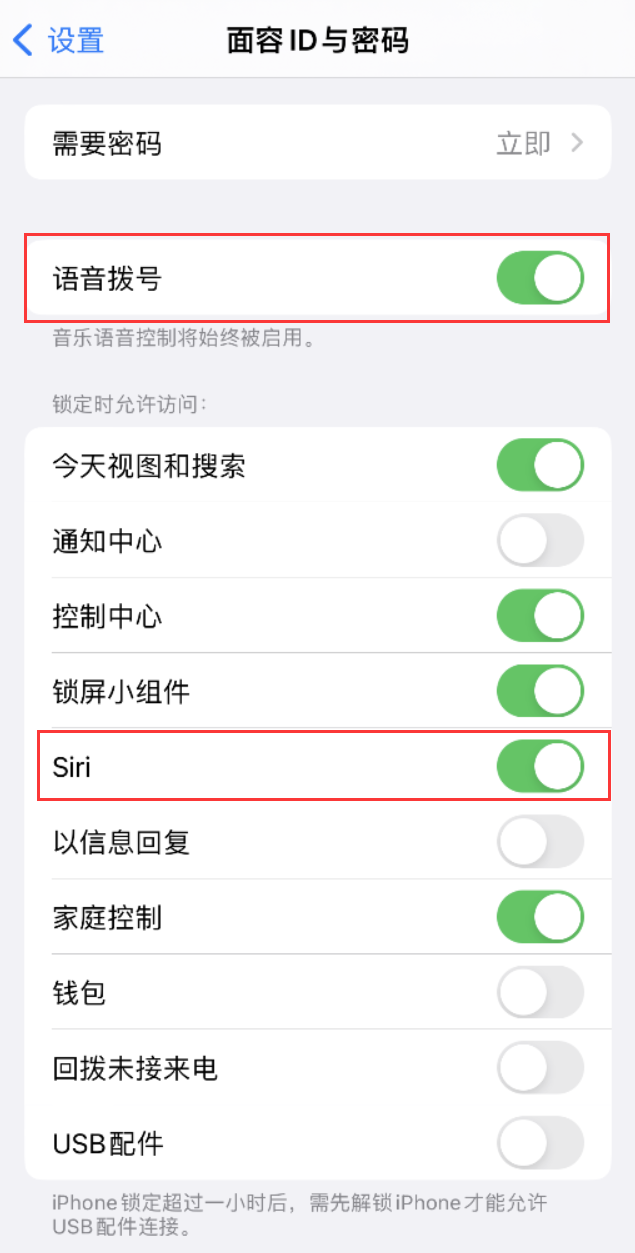 项城苹果维修网点分享不解锁 iPhone 的情况下通过 Siri 拨打电话的方法 