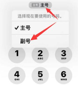 项城苹果14维修店分享iPhone 14 Pro Max使用副卡打电话的方法 