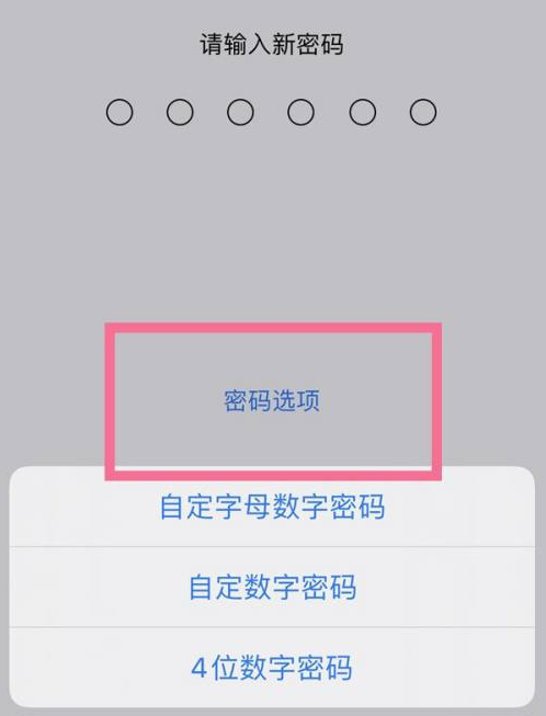 项城苹果14维修分享iPhone 14plus设置密码的方法 