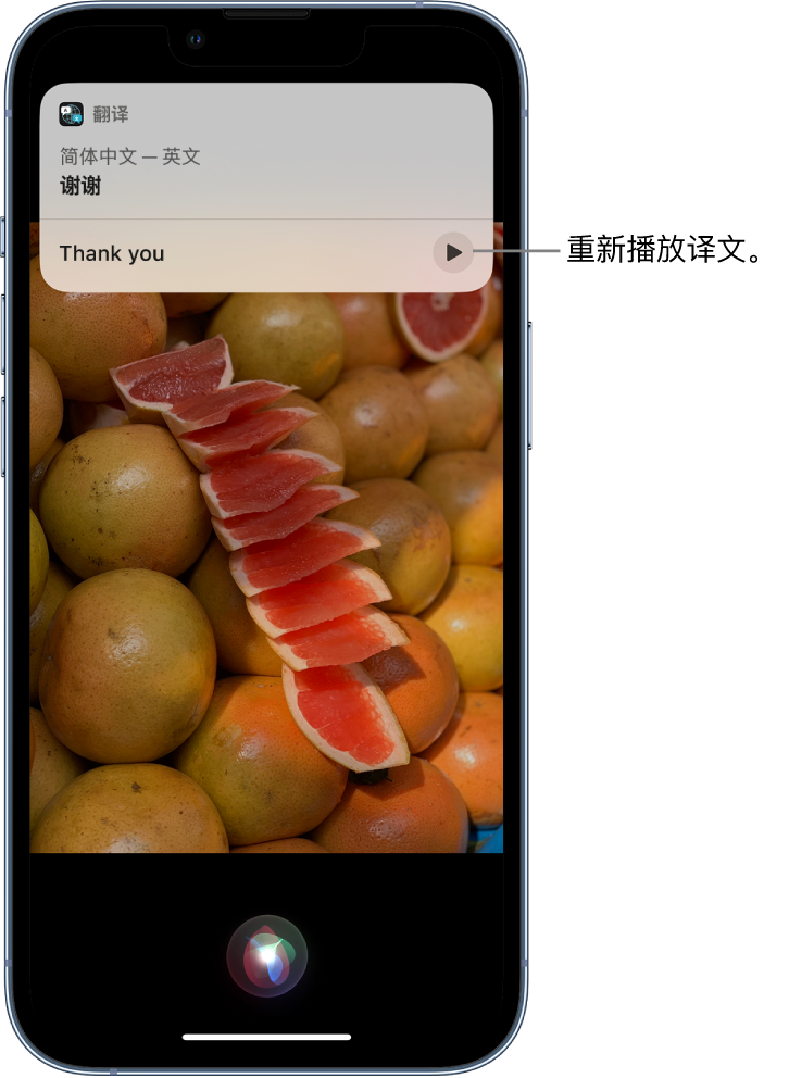 项城苹果14维修分享 iPhone 14 机型中使用 Siri：了解 Siri 能帮你做什么 