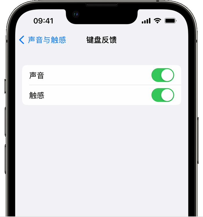 项城苹果14维修分享iPhone 14 系列机型如何开启键盘声音或触感反馈 