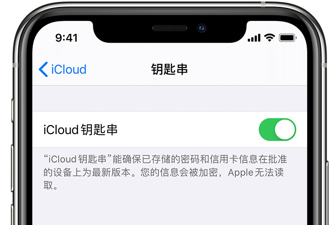 项城苹果手机维修分享在 iPhone 上开启 iCloud 钥匙串之后会储存哪些信息 