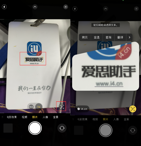 项城苹果手机维修分享升级iOS 16后如何通过相机翻译文本 