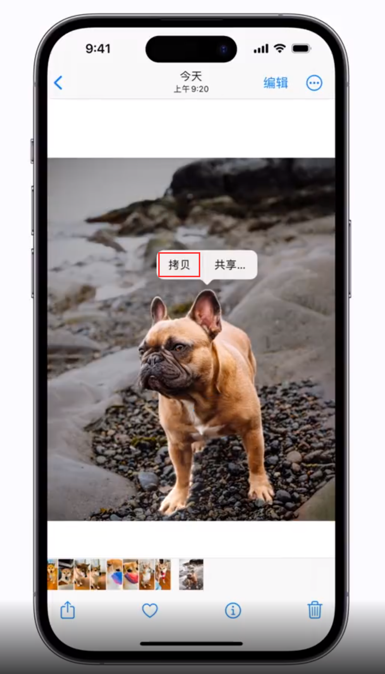 项城苹果手机维修分享 iOS 16 自带一键抠图功能 