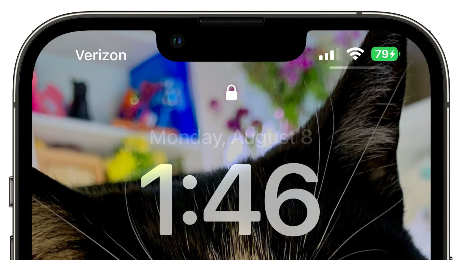 项城苹果手机维修分享iOS 16 beta 5 支持状态栏显示电池百分比，如何开启？支持哪些机型 