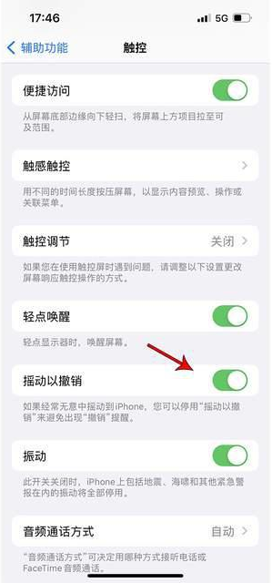 项城苹果手机维修分享iPhone手机如何设置摇一摇删除文字 