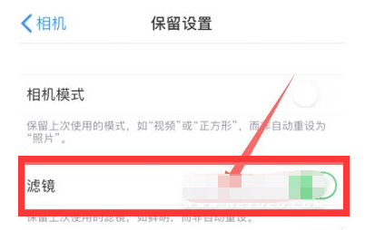 项城苹果13维修分享iPhone13拍照有绿点是怎么回事 