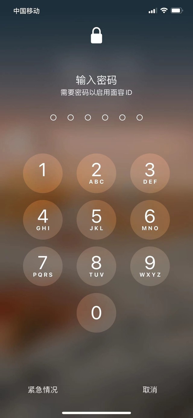 项城苹果13维修分享iPhone 13加强锁屏功能有什么用 