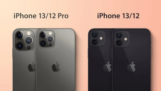 项城苹果手机维修分享iPhone 13 摄像头长什么样 