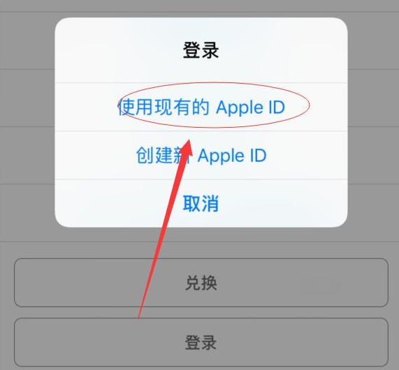 项城苹果手机维修分享两台iPhone设备可以同时登录一个Apple ID吗 
