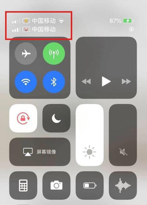 项城苹果手机维修分享为 iPhone 12 双卡设置标签 