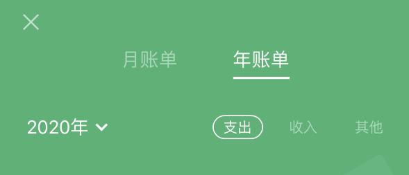 项城苹果手机维修分享如何在 iPhone 上查看支付宝和微信年支出账单 
