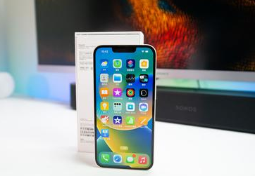 项城苹果维修点分享iPhone 14扩容容易忽略的暗病 